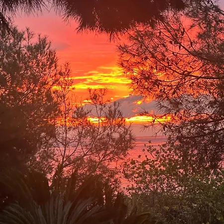 Cap D'antibes Sea View Villa *